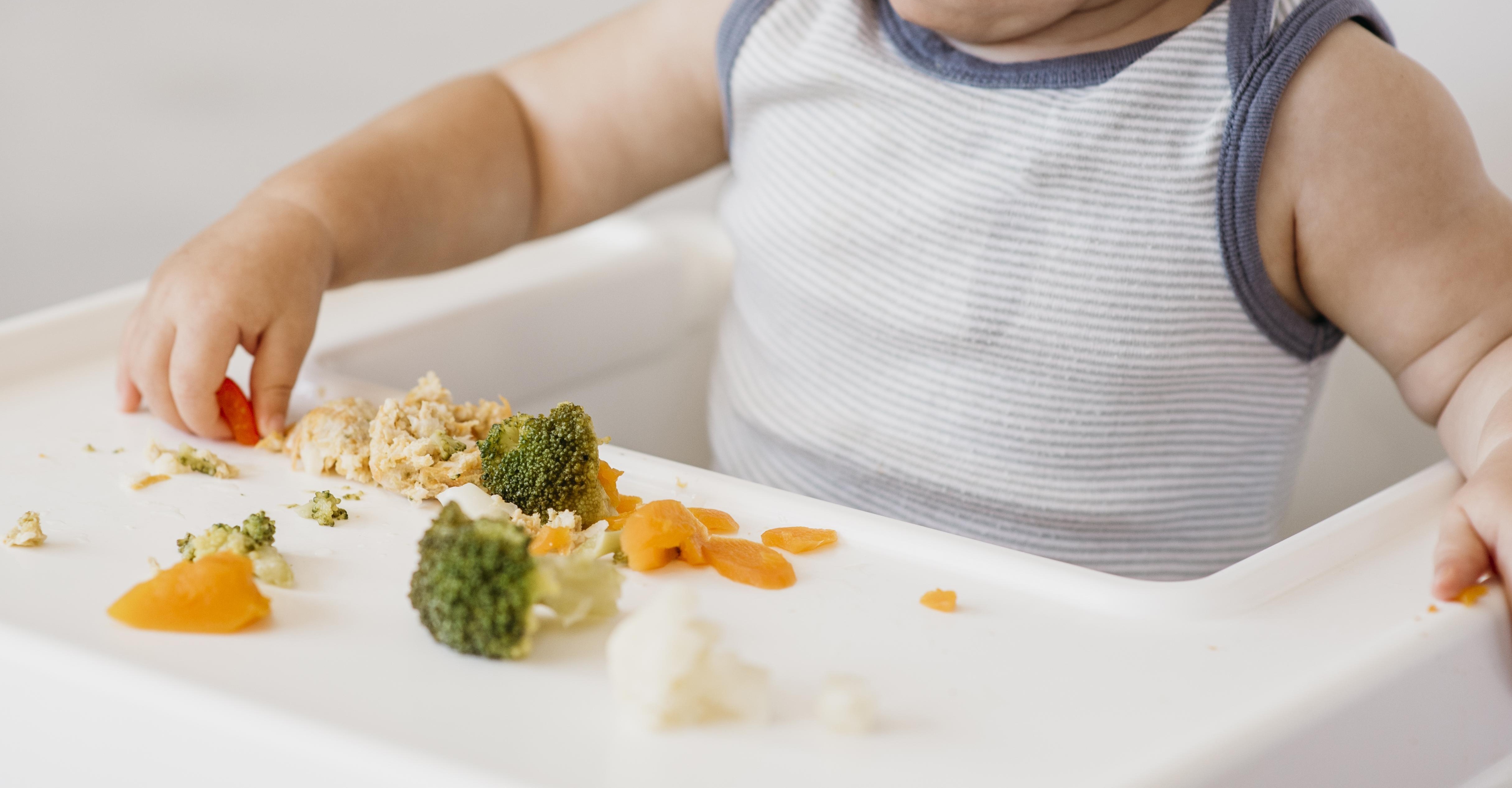 baby led weaning, metode blw mpasi, manfaat blw, mpasi blw bayi, cara mpasi blw, makanan blw pertama, mpasi tanpa disuapi, blw aman untuk bayi, Bunda, si Kecil